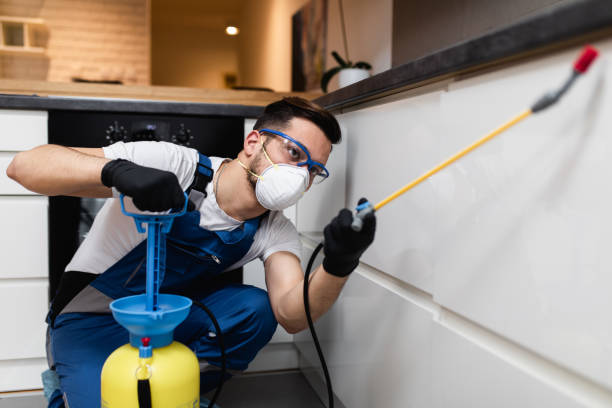 Best Pest Inspection Near Me  in Wayne, OH