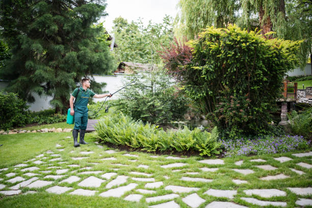 Best Affordable Pest Control Services  in Wayne, OH