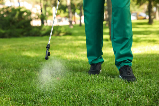 Best Rat Extermination Near Me  in Wayne, OH