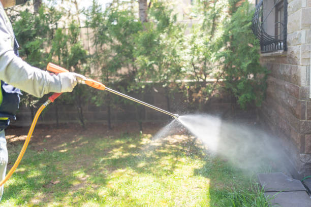 Professional Pest Control in Wayne, OH