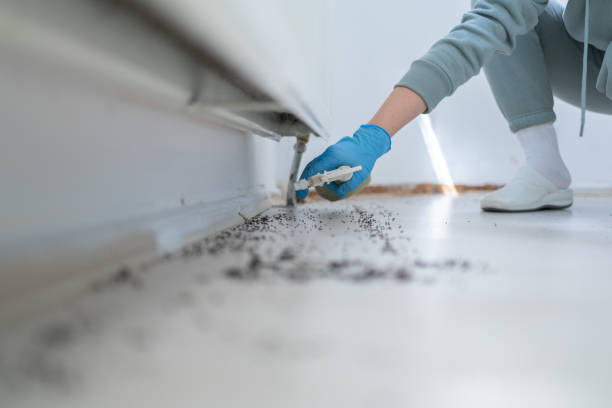 Best Pest Control Treatment  in Wayne, OH