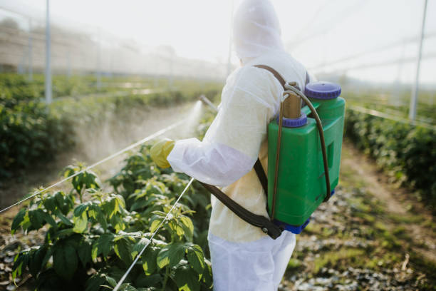 Best Residential Pest Control  in Wayne, OH